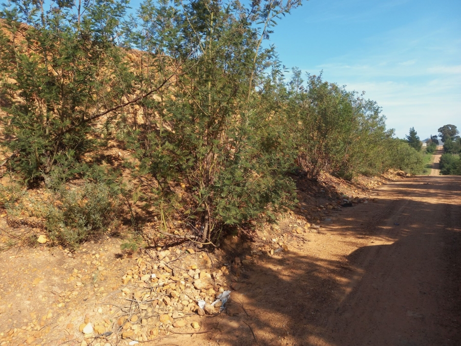 0 Bedroom Property for Sale in Haarlem Western Cape